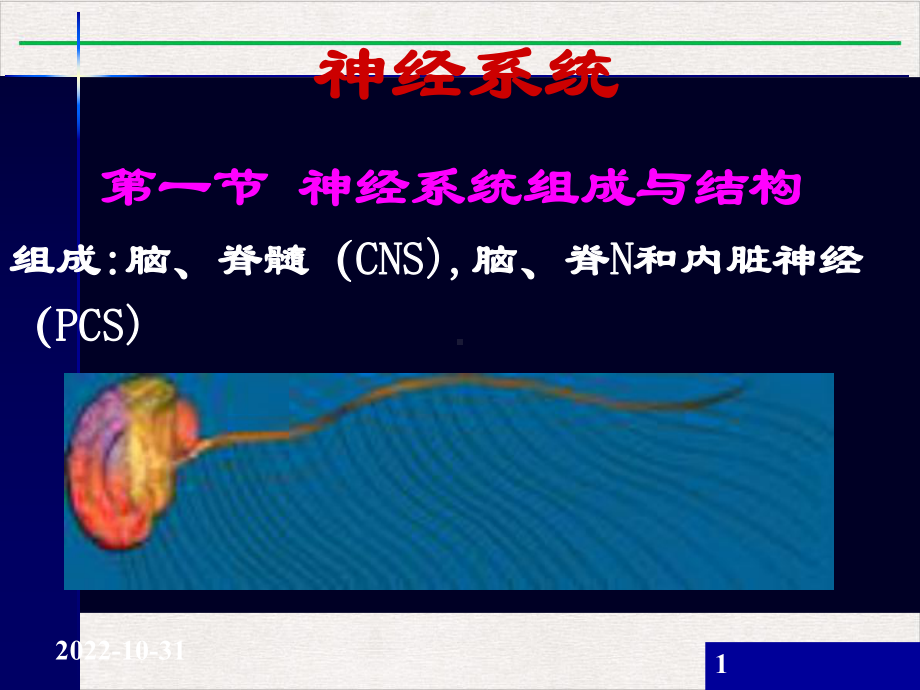 神经系统药学课件完整版.pptx_第1页