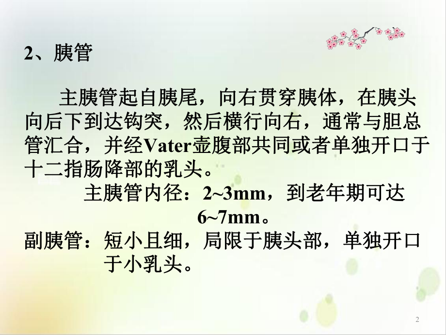 四章消化系统胰腺及腹膜课件.ppt_第2页