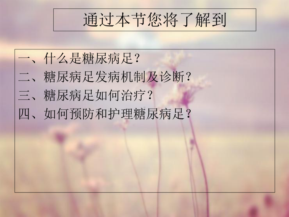 糖尿病足课件-4.ppt_第2页