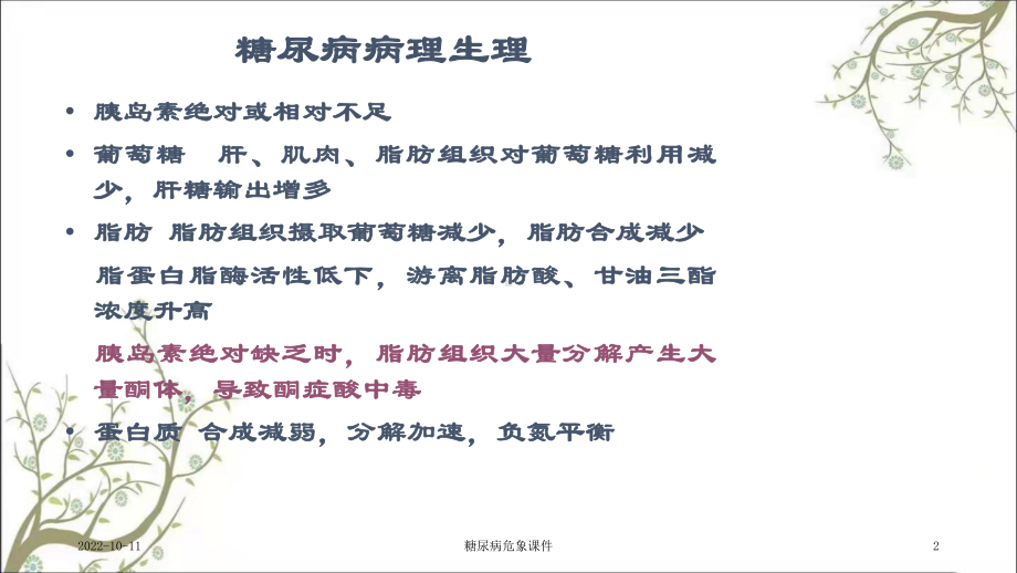 糖尿病危象课件.ppt_第2页