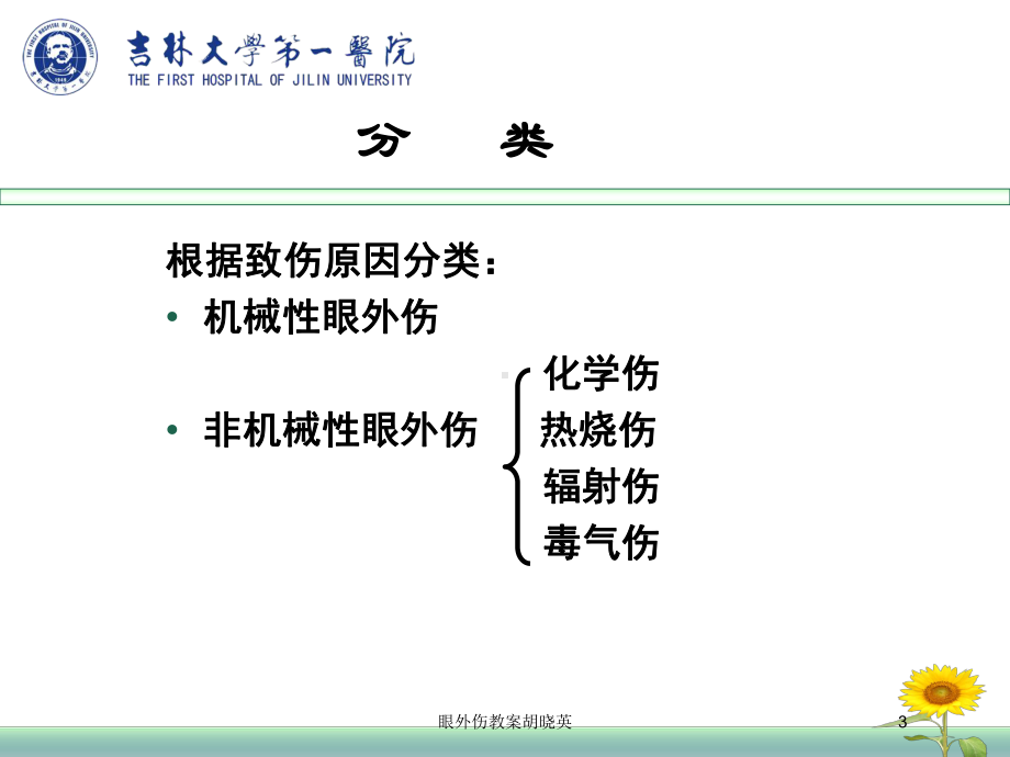 眼外伤教案胡晓英培训课件.ppt_第3页