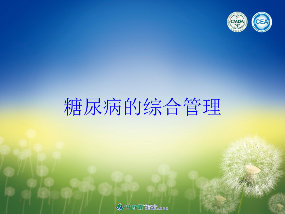 糖尿病的综合管理培训课件.ppt_第1页