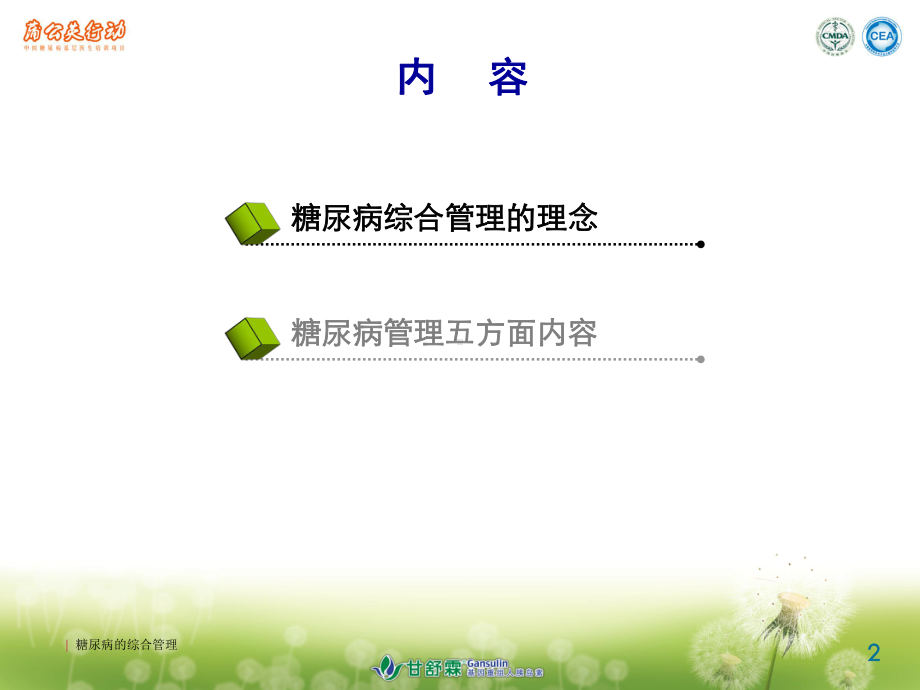 糖尿病的综合管理培训课件.ppt_第2页