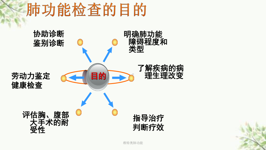 维特奥肺功能课件.pptx_第3页