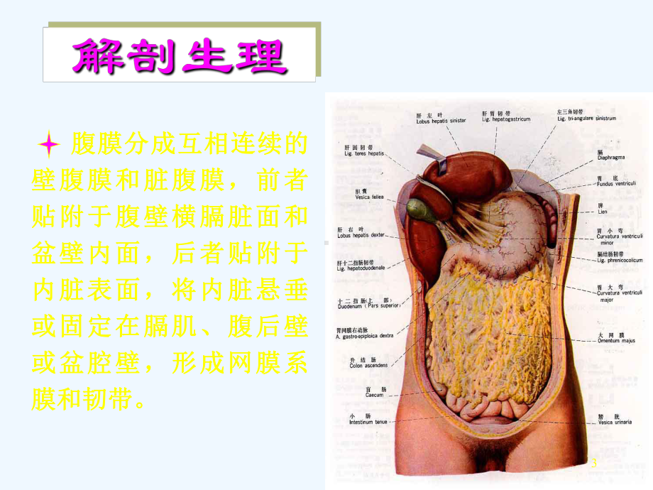 第五版急性腹膜炎课件.ppt_第3页