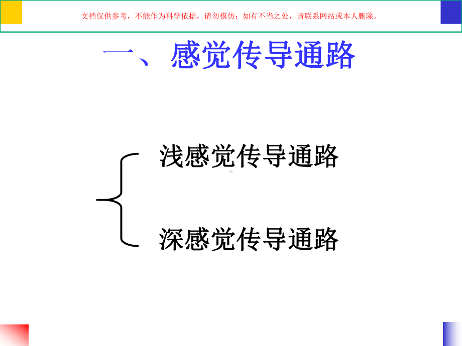 神经系统传导通路培训课件.ppt_第3页