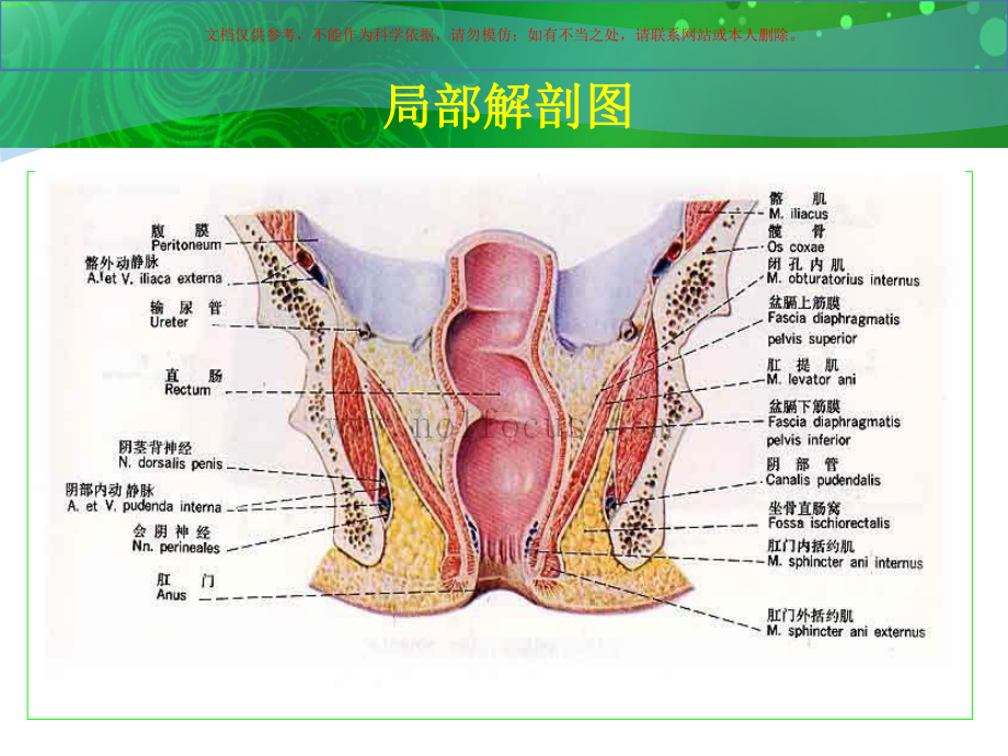 肛瘘的现代概念培训课件.ppt_第3页