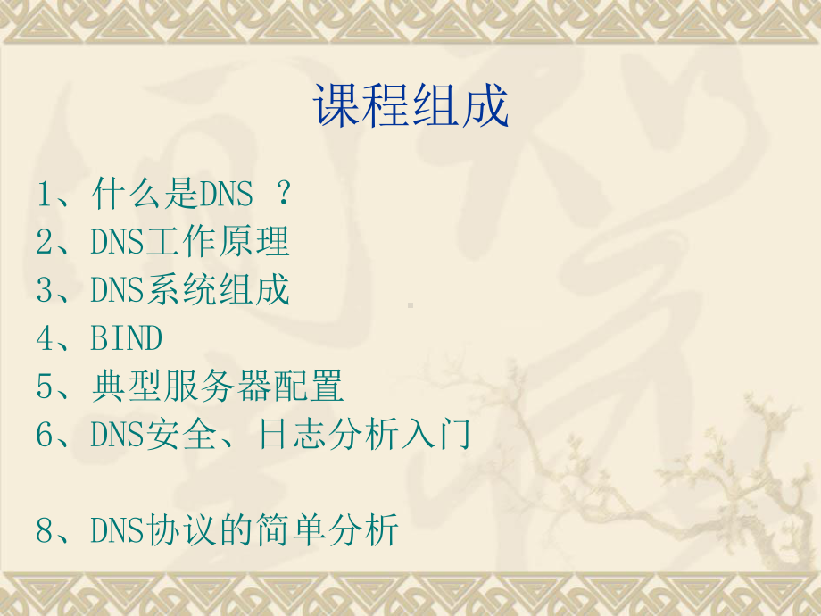 DNS协议详解课件.ppt_第3页