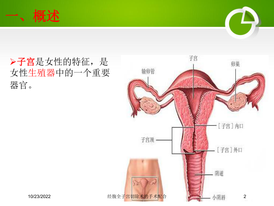 经腹全子宫切除术的手术配合培训课件.ppt_第2页