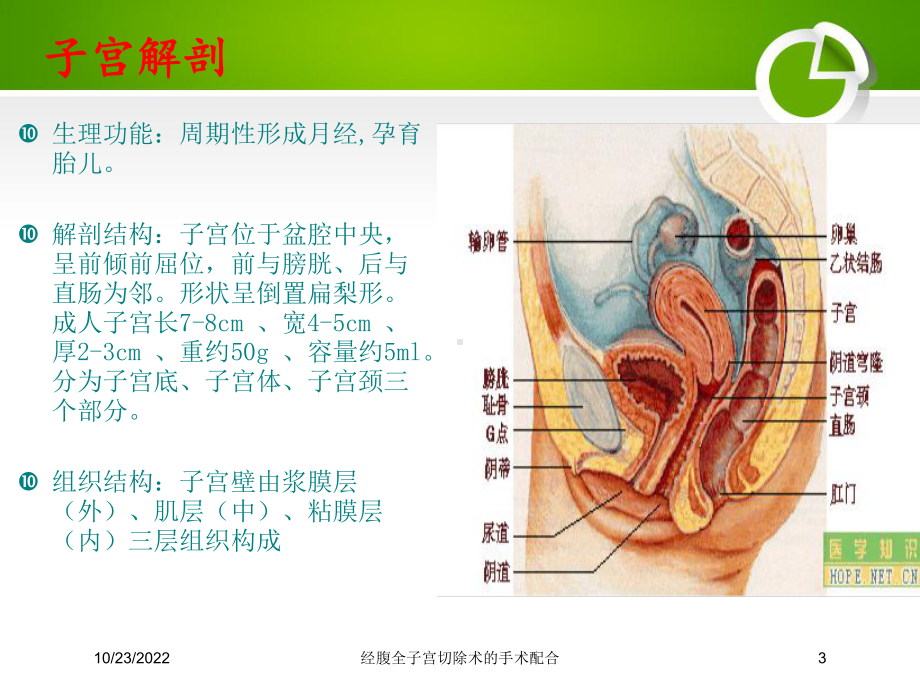 经腹全子宫切除术的手术配合培训课件.ppt_第3页