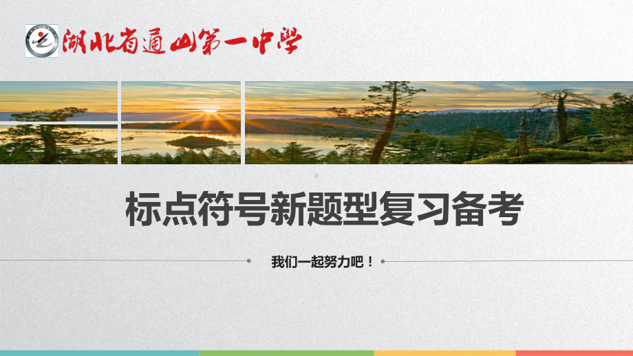 2021届高考二轮复习：标点符号新题型指导(课件29张).pptx_第1页