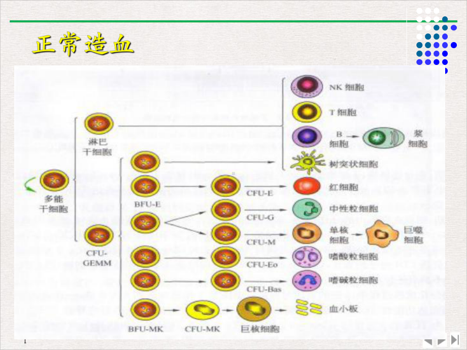 白血病定稿课件.pptx_第2页