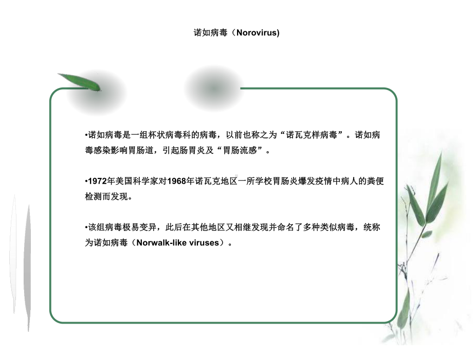 第二周主题班会诺如病毒感染性腹泻预防课件.ppt_第2页