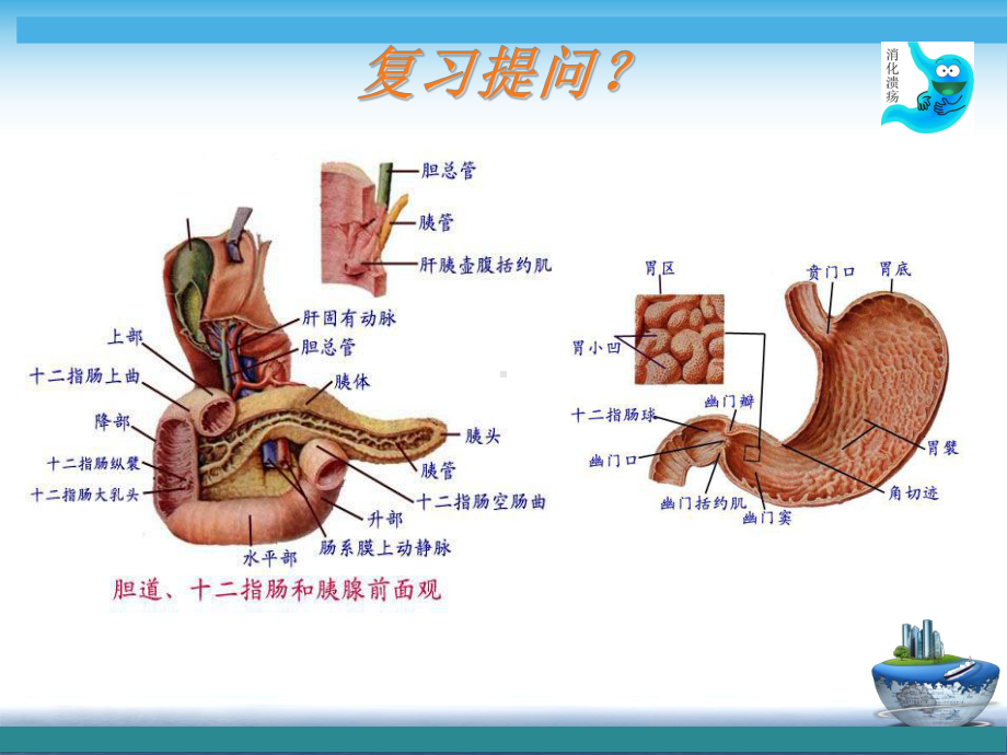 （公开课）消化性溃疡病人的护理评估课件.ppt_第3页