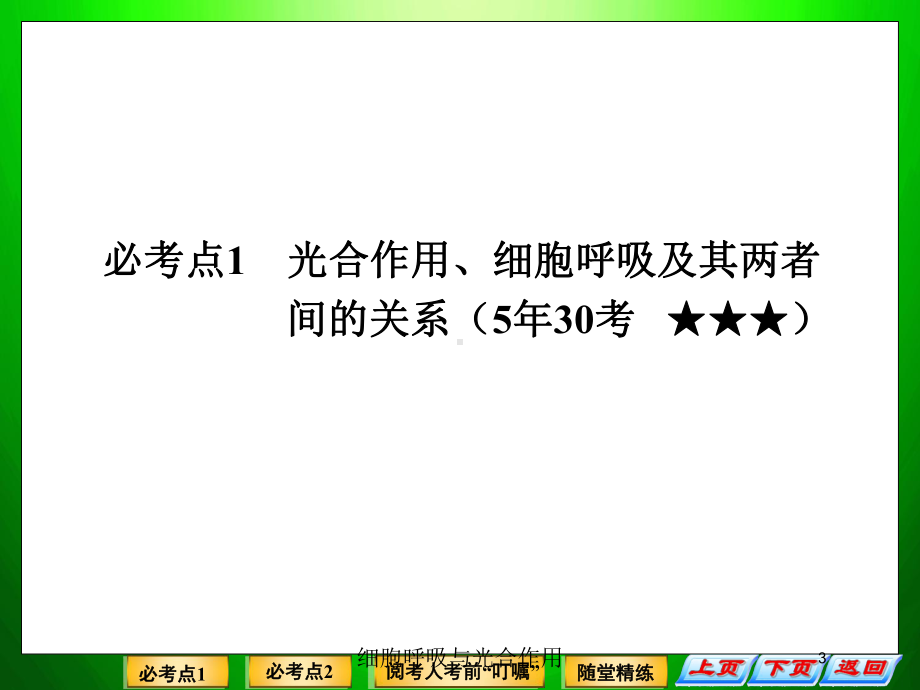 细胞呼吸与光合作用培训课件.ppt_第3页