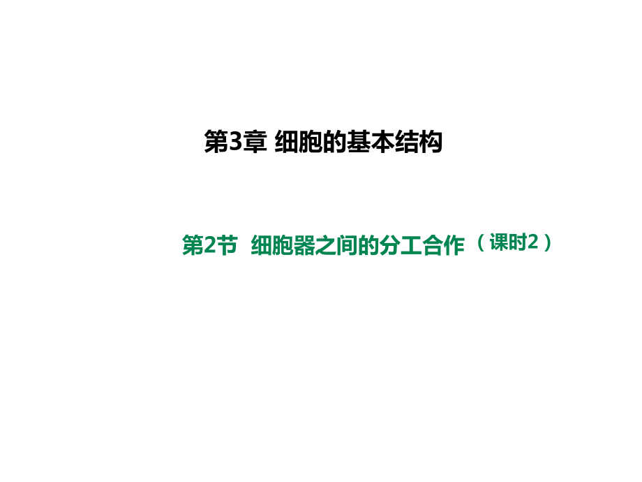 (新教材)高中生物《细胞器之间的分工合作》优秀课件人教版1.ppt_第1页