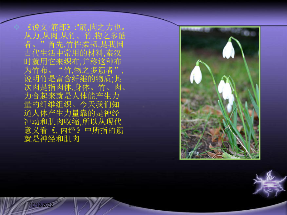 经筋理论医疗培训课件.ppt_第1页