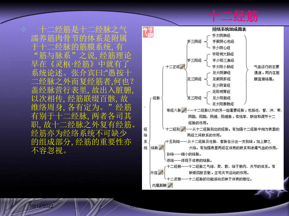 经筋理论医疗培训课件.ppt_第2页