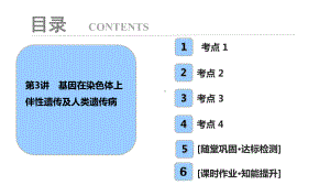 第六单元-第3讲-基因在染色体上-伴性遗传及人类遗传病课件.ppt