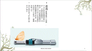 糖尿病无痛注射器材课件.ppt