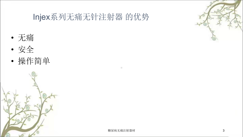 糖尿病无痛注射器材课件.ppt_第3页