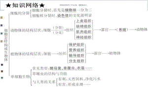 细胞怎样构成生物体医学知识课件.ppt