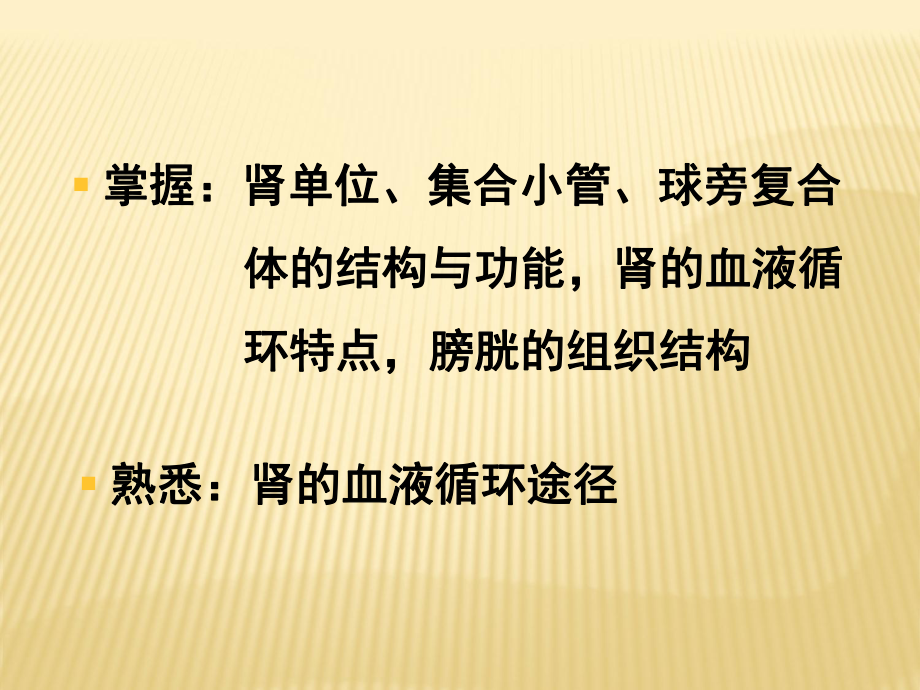 组织学与胚胎学泌尿系统肾-课件.ppt_第2页