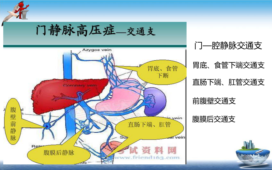 第十六章第二节门静脉高压症病人的护理1课件.ppt_第3页