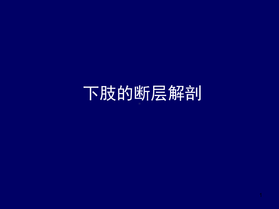 下肢的断层解剖人体断层解剖学(课堂)课件.ppt_第1页