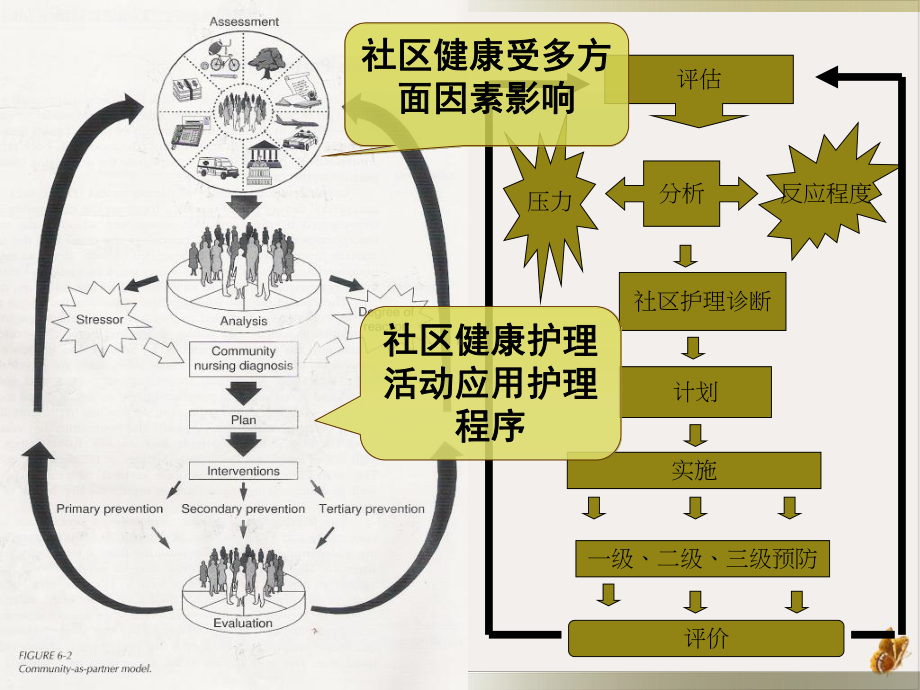 社区护理课件.pptx_第2页