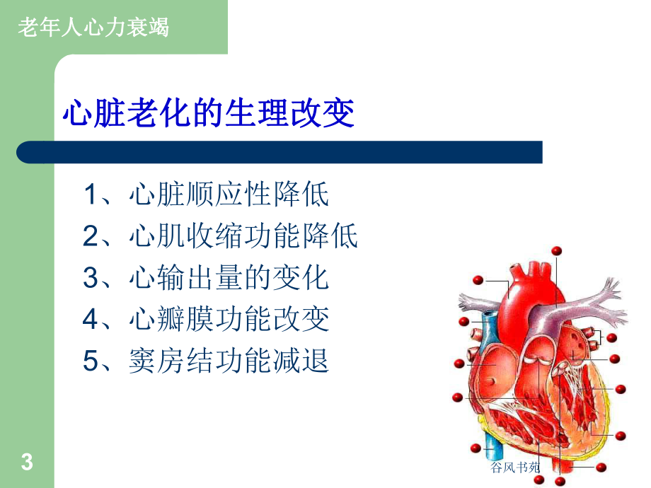 老年心衰和缺血性心脏病课件.ppt_第3页