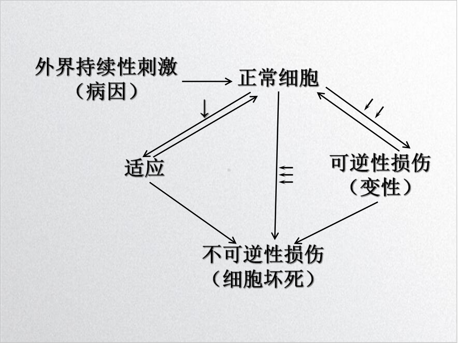 组织细胞的损伤与修复上课培训讲义课件.ppt_第3页