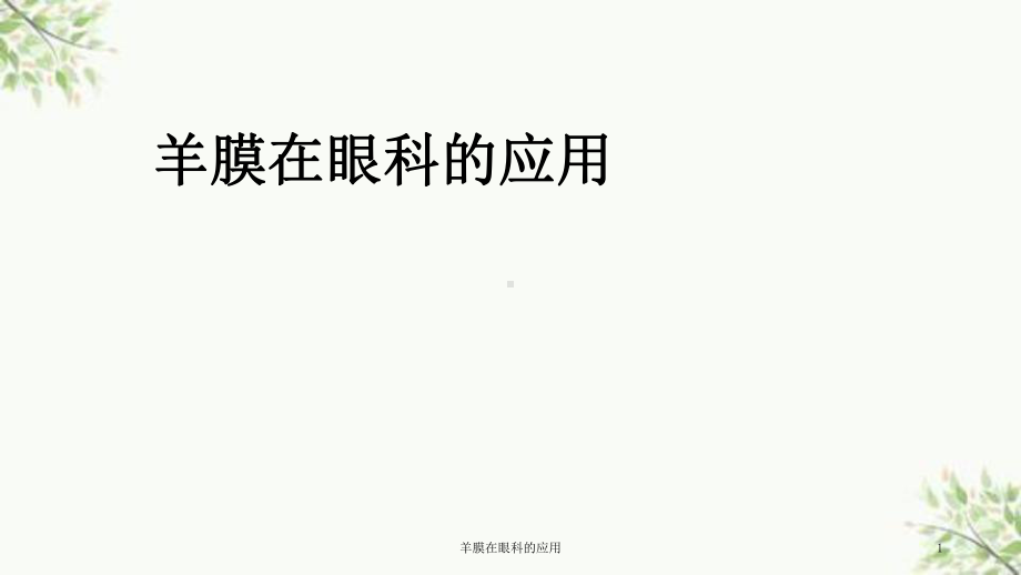 羊膜在眼科的应用课件.ppt_第1页