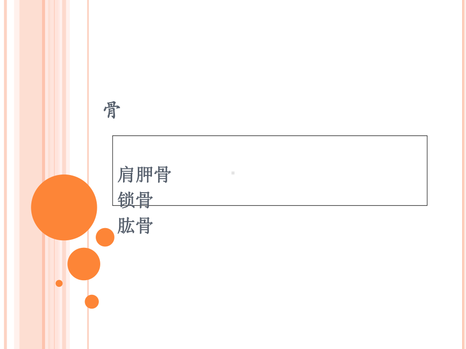 简要肩关节功能解剖-课件.ppt_第3页