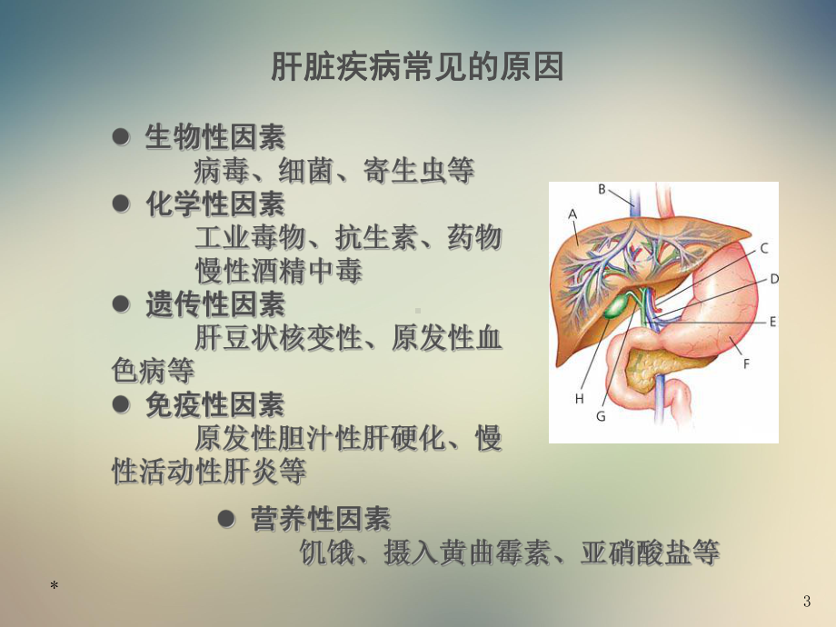 2021肝功能障碍患者合理用药课件.ppt_第3页