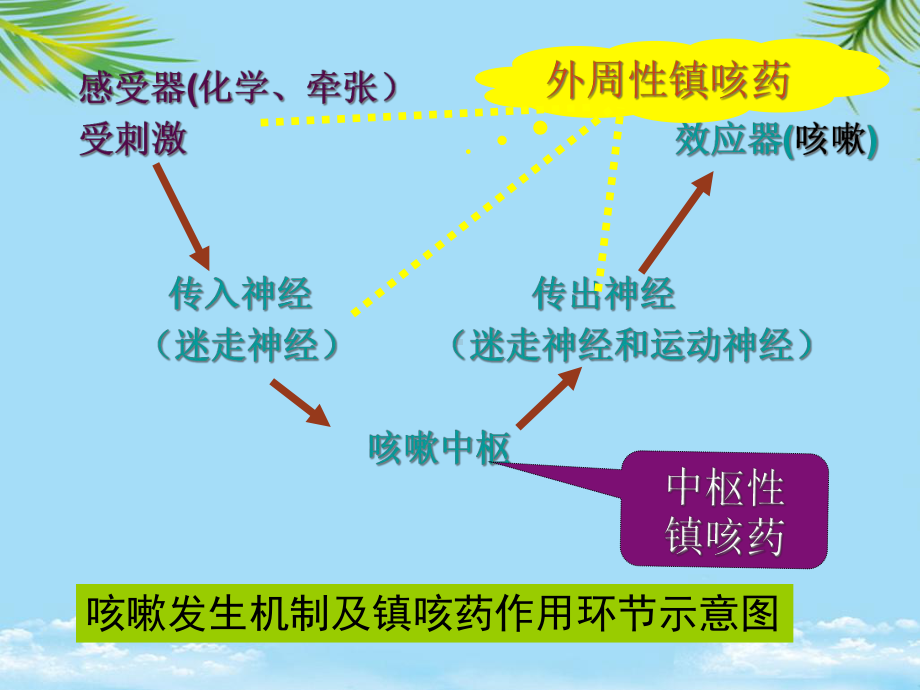 第十二讲治疗呼吸系统疾病药物课件.ppt_第3页