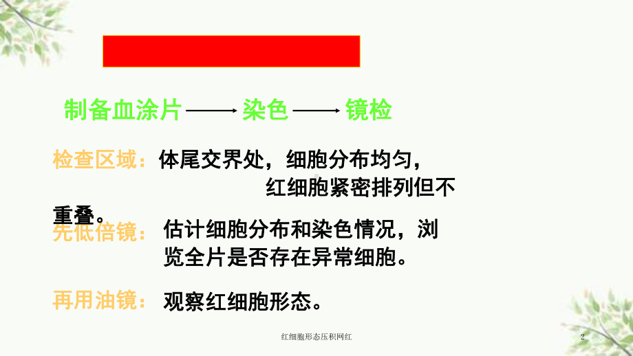 红细胞形态压积网红课件.ppt_第2页