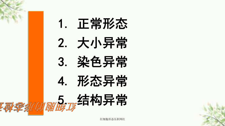 红细胞形态压积网红课件.ppt_第3页