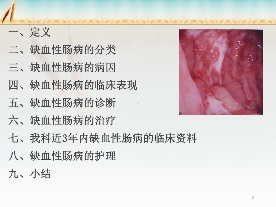 缺血性肠病治疗及护理课件.ppt_第2页