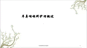 耳鼻喉咽科护理课件.ppt