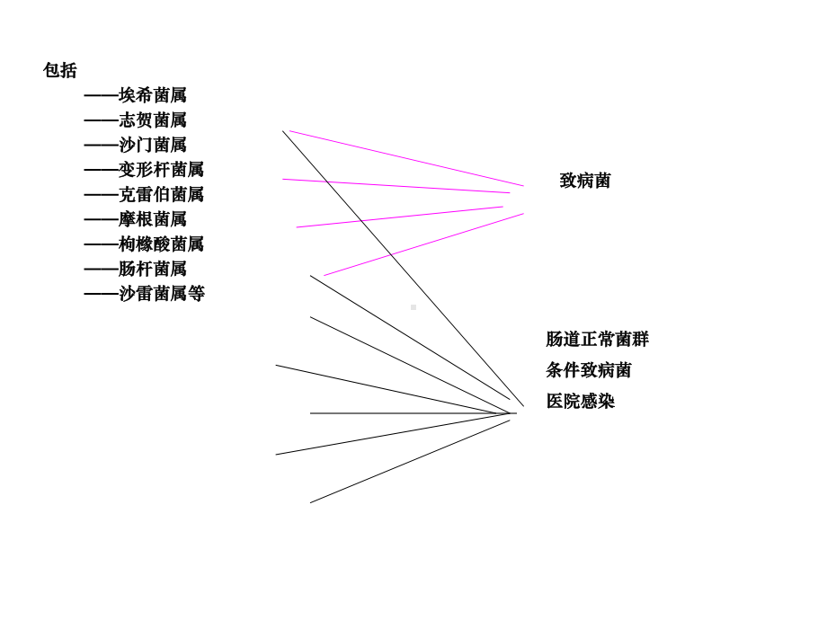 十二章肠道杆菌课件.ppt_第3页