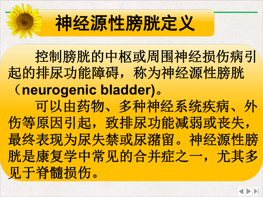 神经源性膀胱护理课件.pptx_第1页