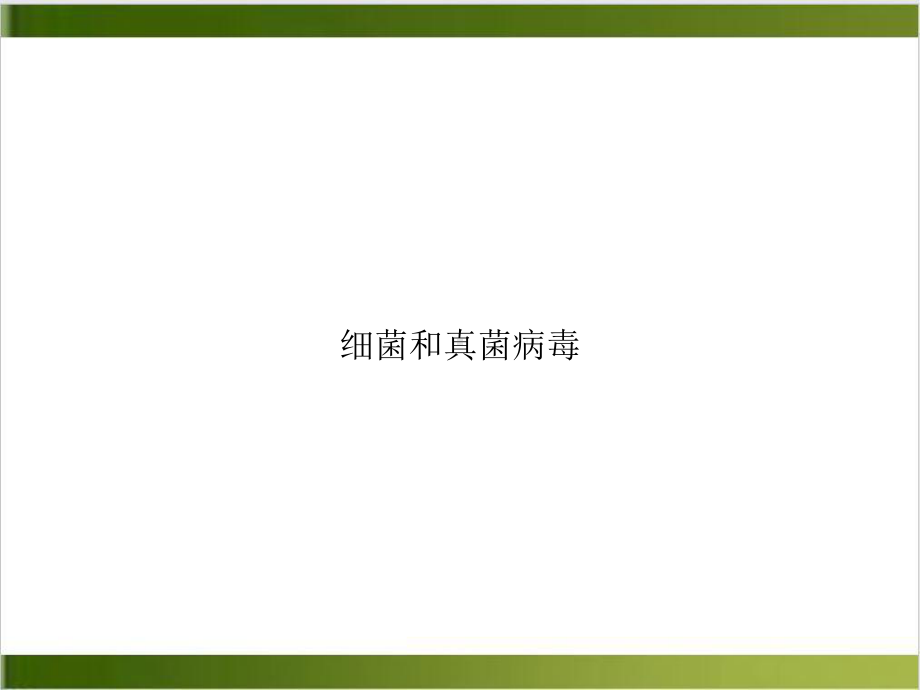 细菌和真菌病毒实用版课件.ppt_第1页