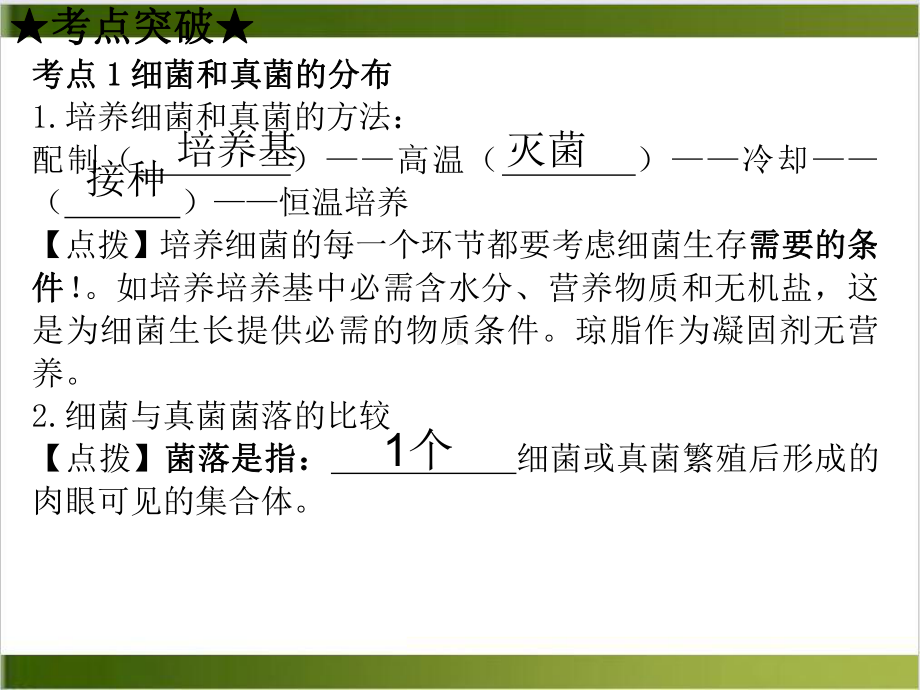 细菌和真菌病毒实用版课件.ppt_第3页