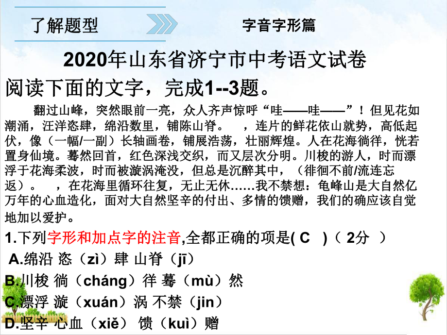 2022届字音字形词语辨析中考复习中考语文二轮复习精美课件.ppt_第3页