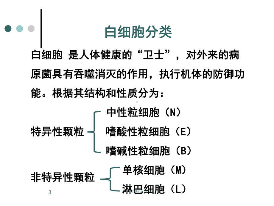 白细胞及血小板课件.ppt_第3页