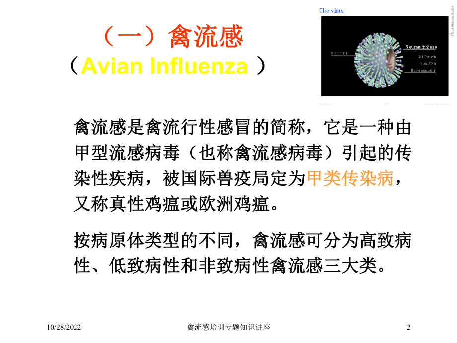 禽流感培训专题知识讲座培训课件.ppt_第2页