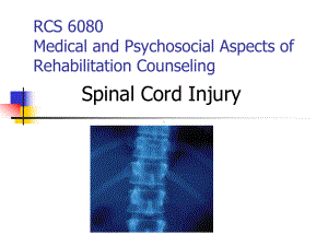 Medical-and-Psychosocial-Aspects-of-Rehabilitation-Counseling[康复咨询的医疗和心理方面](-53)课件.ppt