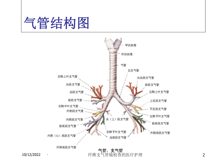 纤维支气管镜检查的医疗护理培训课件.ppt_第2页