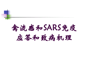 禽流感和SARS免疫应答和致病机理培训课件.ppt